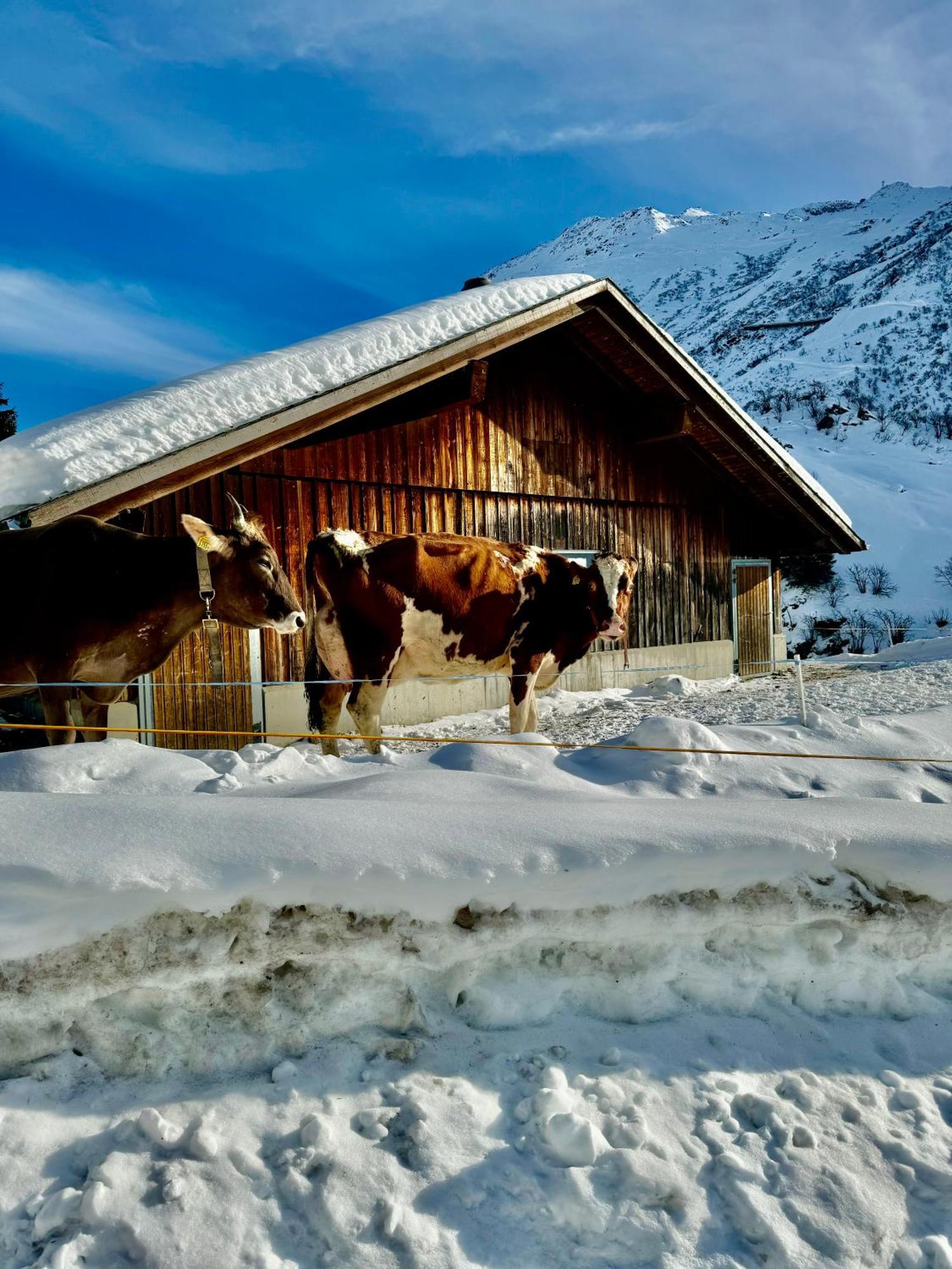 Mountain View Apartamento Andermatt Exterior foto